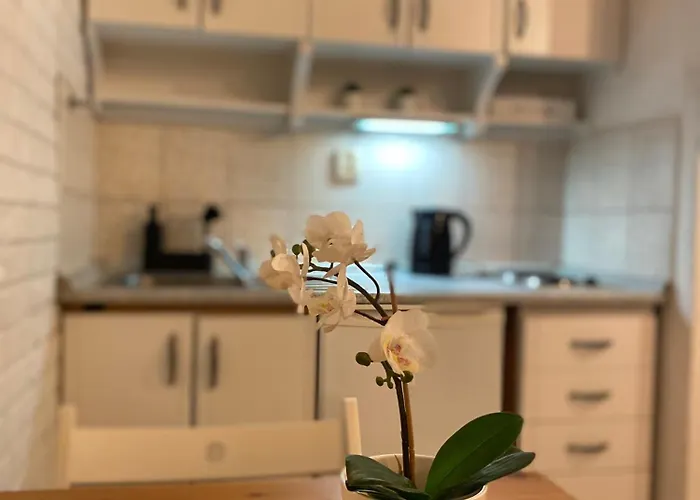 Center Underground *